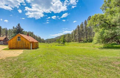 Custer House | Remote Custer Cabin w/Fire Pit & Near State Park!