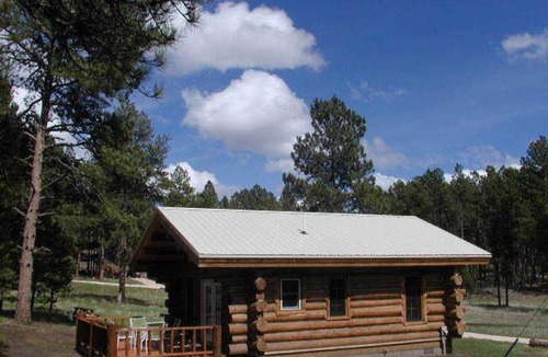 Custer House | Renegade Log Cabin