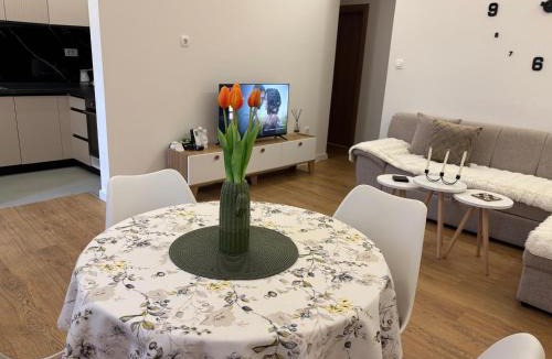 Danilovgrad Apartment | Residency appartment