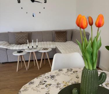 Danilovgrad Apartment | Residency appartment