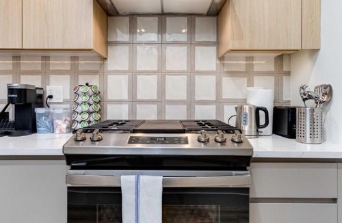 Downtown Chicago Apartment | River North Rooftop With In and Out Parking 6