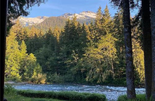 Verlot House | Riverfront cabin with hot tub and sauna 1st floor