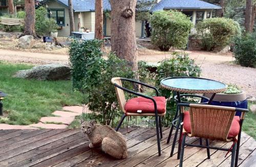 Estes Park Bed & Breakfast | Riversong Inn Retreat