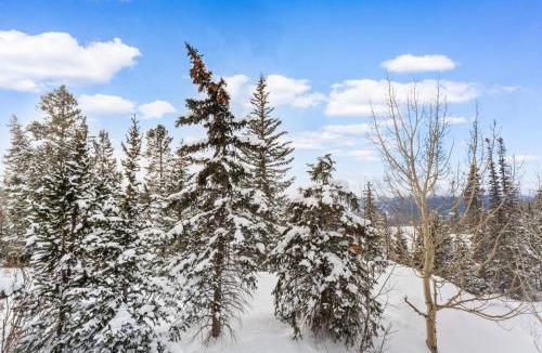 Baldy Mountain House | Rockridge #49