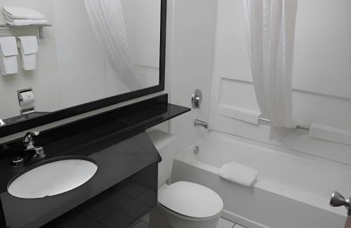 Chandler Hotel | Rodeway Inn & Suites Chandler - Phoenix South I-10