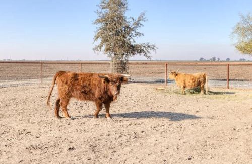 Tulare Hotel | Rooftop Spa Tiny Cargo Home Farm Experience