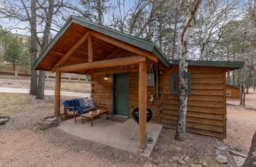 Rapid City House | Rustic Log Cabin with King Bed Near Mount Rushmore