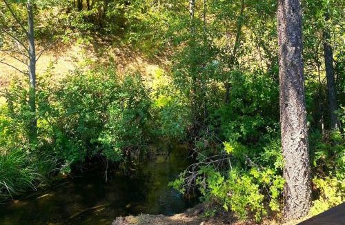 Cave Junction House | RV42 with Large Deck on a Creek