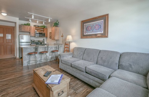 River Run Condo | Scenic Gondola Rides | Hot Tub | River Run Action