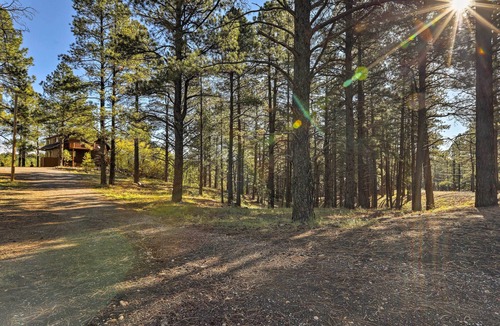 Kachina Village Apartment | Secluded Flagstaff Apartment on 4 Acres w/Deck!