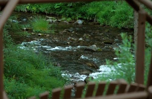 Blue River House | Serendipity Lodge, Cozy Home on the River, Private Hot Tub, New Pet Friendly Listing