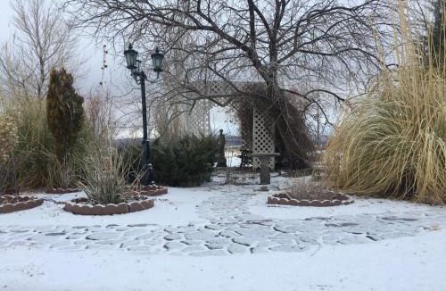 Beatty Bed & Breakfast | Shady Lady Bed and Breakfast
