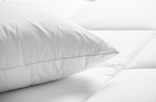 Sioux Falls Hotel | Sheraton Sioux Falls Hotel & Convention Center