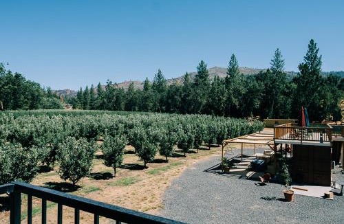 Mariposa Apartment | Sierra Cider's Yosemite Orchard Barn Loft