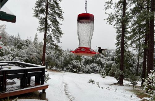 Mariposa House | Sierra Trails Retreat