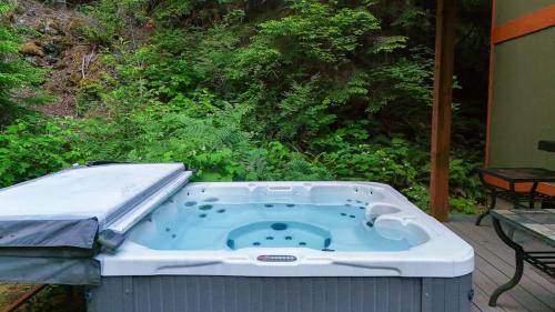 Glacier House | Silver Peak Lodge