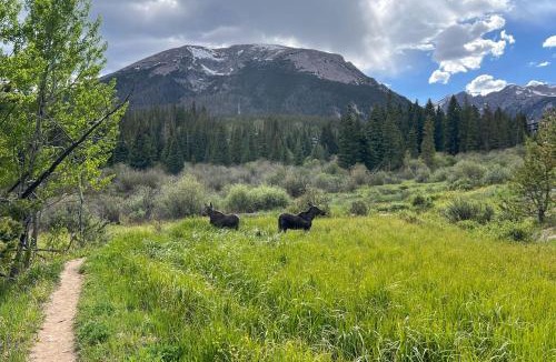 Wildernest House | Silverthorne Condo w/Views ~ 11 Mi to Ski Slopes