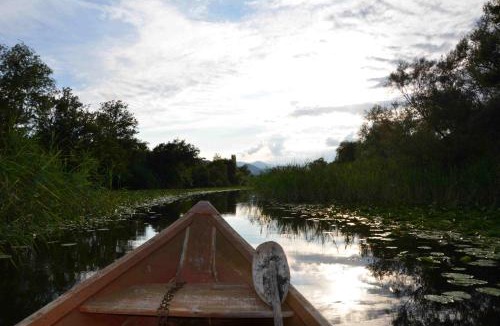 Karuc House | skadar laik sara 3dm