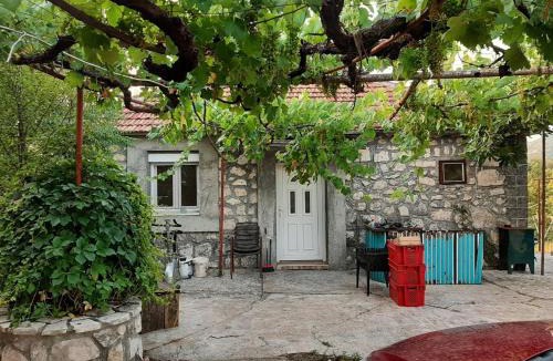 Karuc Hostel | Skadar lake village