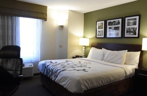 Phoenix Hotel | Sky Harbor Airport Inn