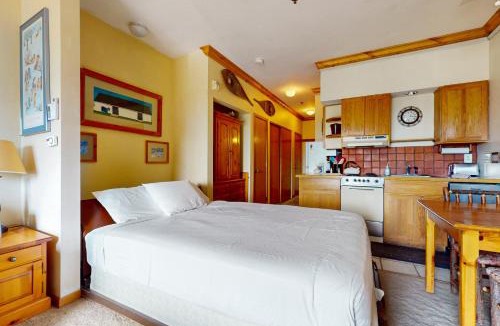 Steamboat Springs Apartment | Snow Flower 309