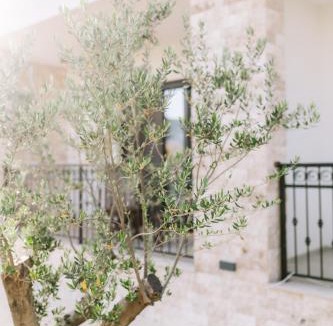Gjerana House | Stanovic Bungalow
