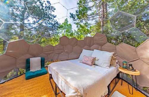Bass Lake Other | Stargazing Dome with Forrest Cottage on Lakefront Property