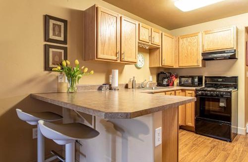 Steamboat Springs Apartment | Studio at Resort w/Hot Tub + Winter Gondola Access