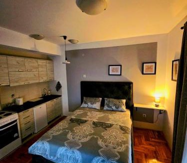 Podgorica Apartment | Studio Place 8