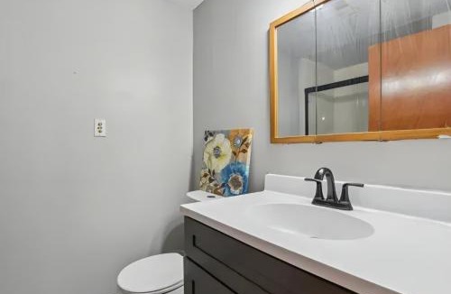 Matteson Apartment | Stunning Brick Tri Level Home 420 friendly