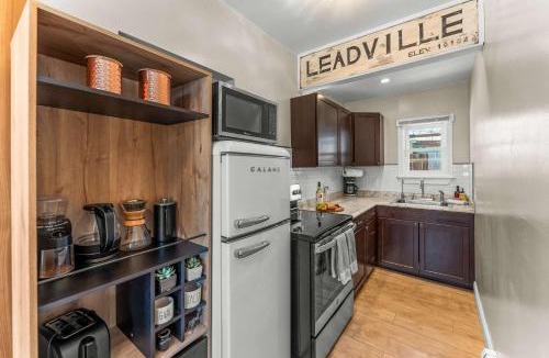 Leadville House | Stylish 1BR Airbnb in Leadville with Mountain Views - Near Skiing - Pets okay
