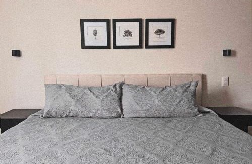 Leon House | Suites ciento 37