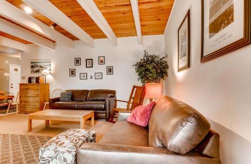 Four O'Clock Apartment | Sundowner T6 by Ski Country Resorts