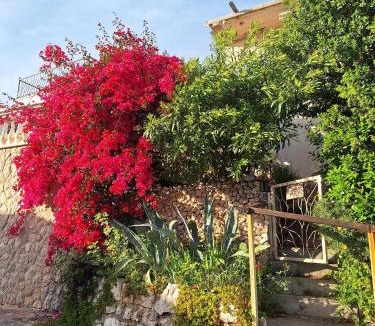 Utjeha House | SunnyDay House