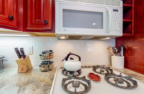Telluride Condo | Superb condo with fireplace & grill - walk to lifts