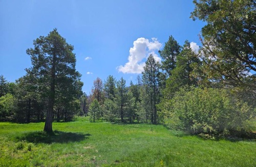 Mill Creek Hotel | The Black Forest Lodge
