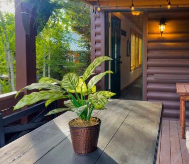 Grand Lake House | The Carriage House Walk to River Lake In Town