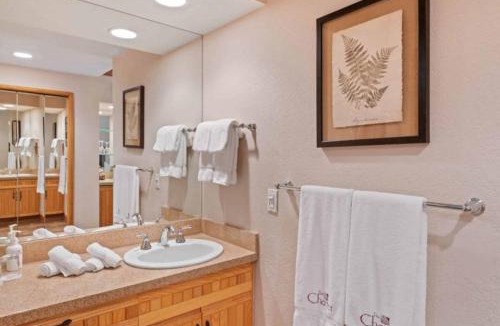 Beaver Creek Hotel | The Charter at Beaver Creek D375