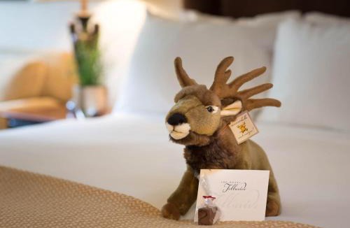 Telluride Hotel | The Hotel Telluride