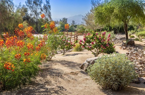 Palm Desert Hotel | The Westin Desert Willow Villas, Palm Desert