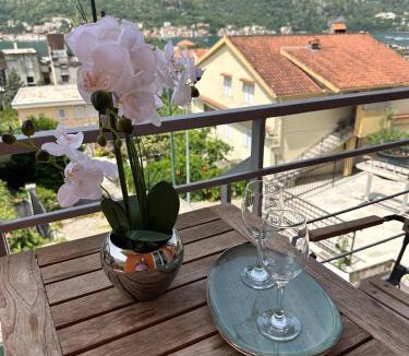 Kotor Hotel | Themis Apartment