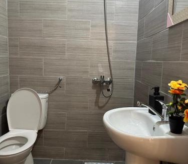 Kotor Hotel | Themis Apartment