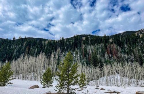 Vail Apartment | Timber Falls Hideaway