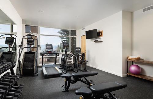 Snowmass Village House | Timberline Condominiums Studio Loft Deluxe Unit 315