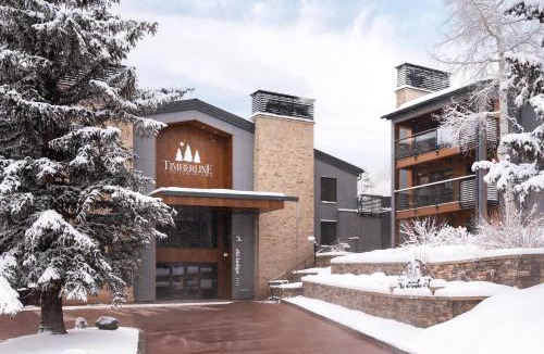 Snowmass Village House | Timberline Condominiums 1 Bedroom Deluxe Unit C2B