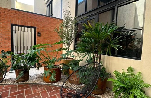 Zapopan Apartment | Tradere
