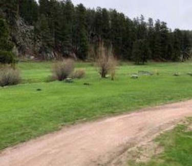 Rapid City House | Trendy and Spacious Cabin Surrounded by Nature in Rapid City, South Dakota