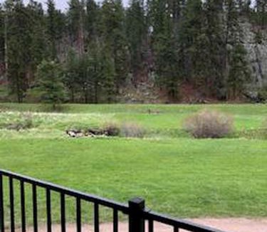 Rapid City House | Trendy and Spacious Cabin Surrounded by Nature in Rapid City, South Dakota