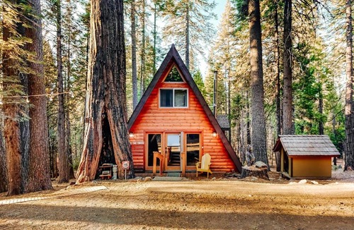 Arnold House | Under The Trees