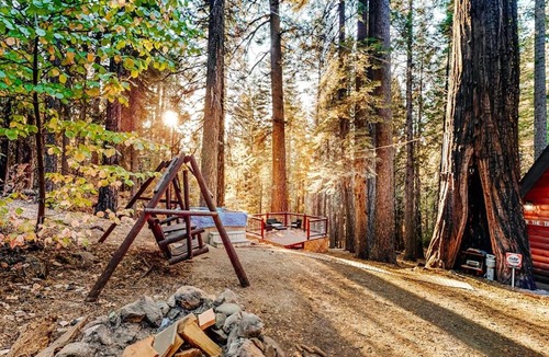 Arnold House | Under The Trees